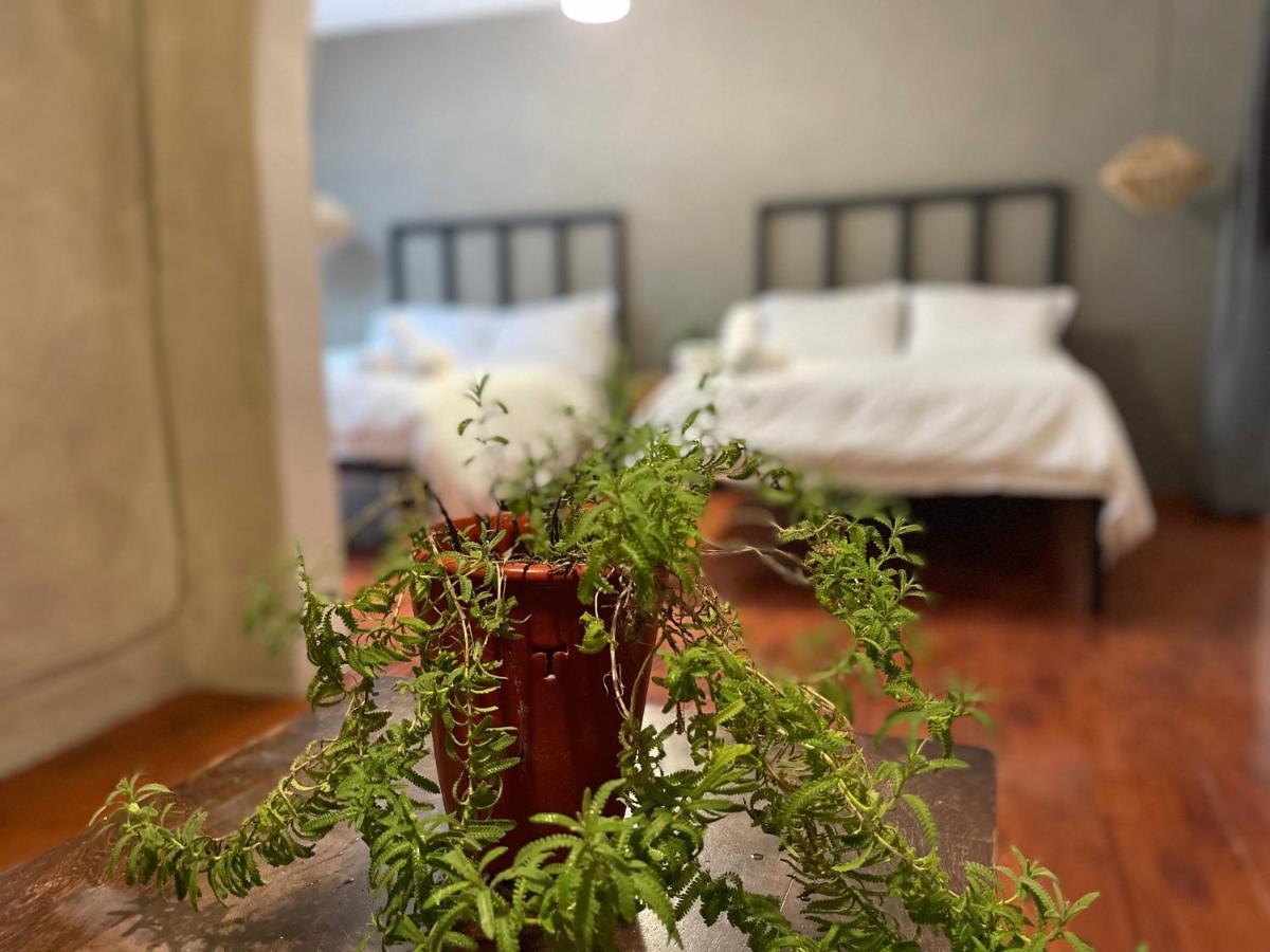 Hotel Villa Helena San Miguel de Allende Buitenkant foto